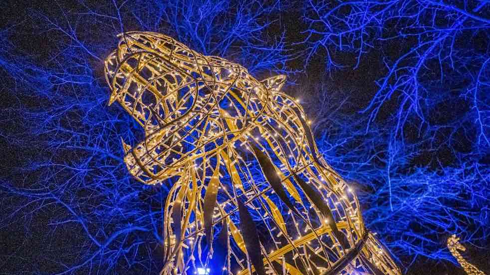 Chester Zoo Christmas lights